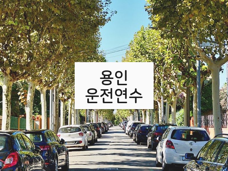 용인운전연수 후기