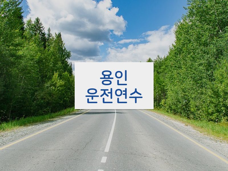 용인운전연수 후기