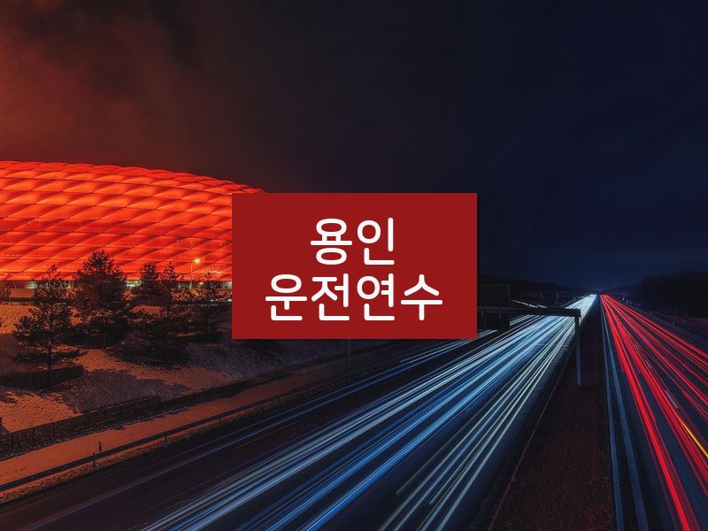 용인운전연수 후기