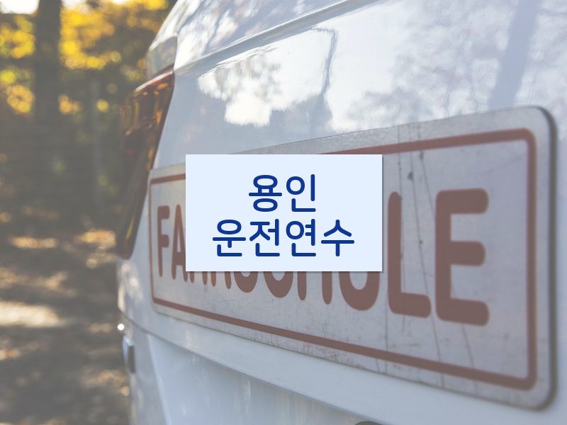 용인운전연수 후기