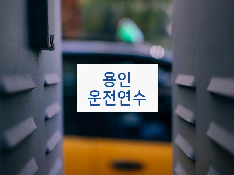 용인운전연수 후기