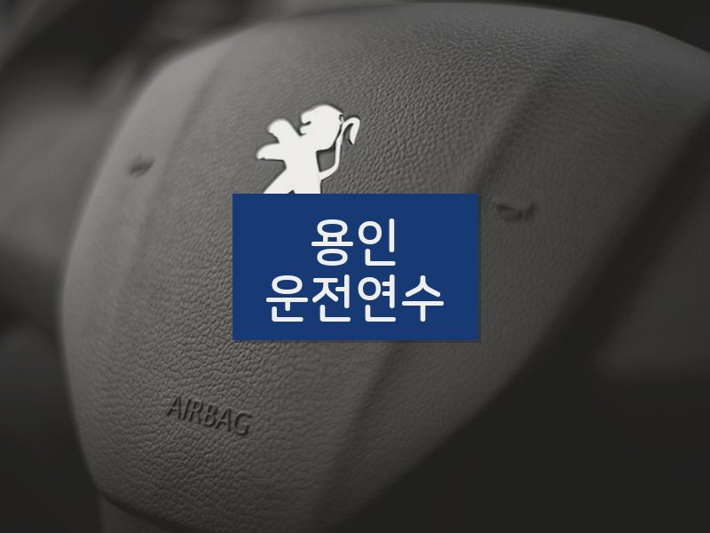 용인운전연수 후기