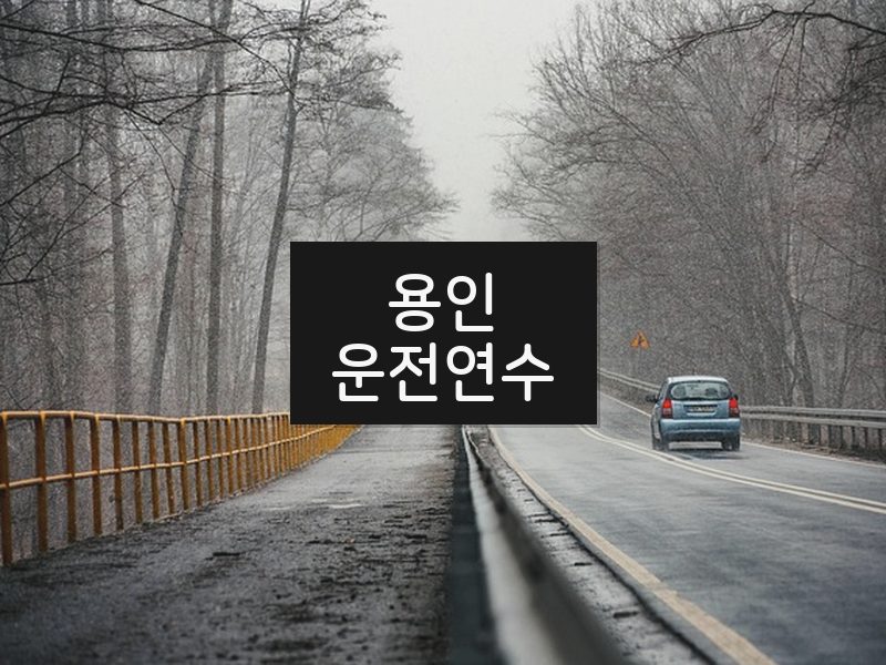 용인운전연수 후기