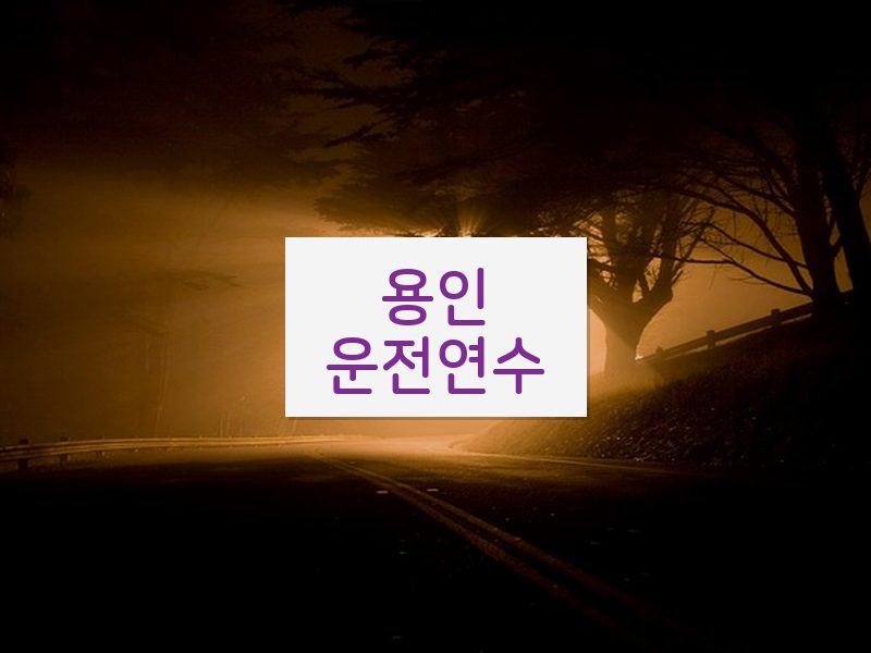 용인운전연수 후기