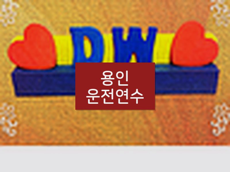 용인운전연수 후기