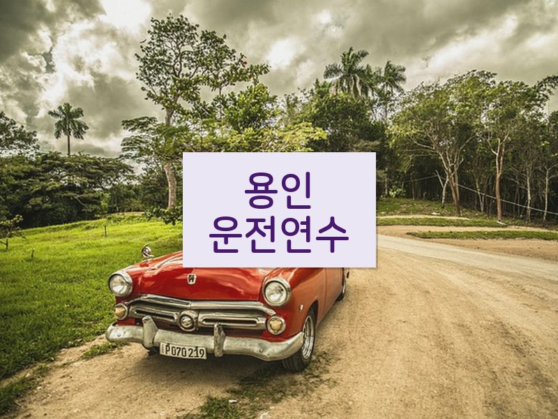 용인운전연수 후기