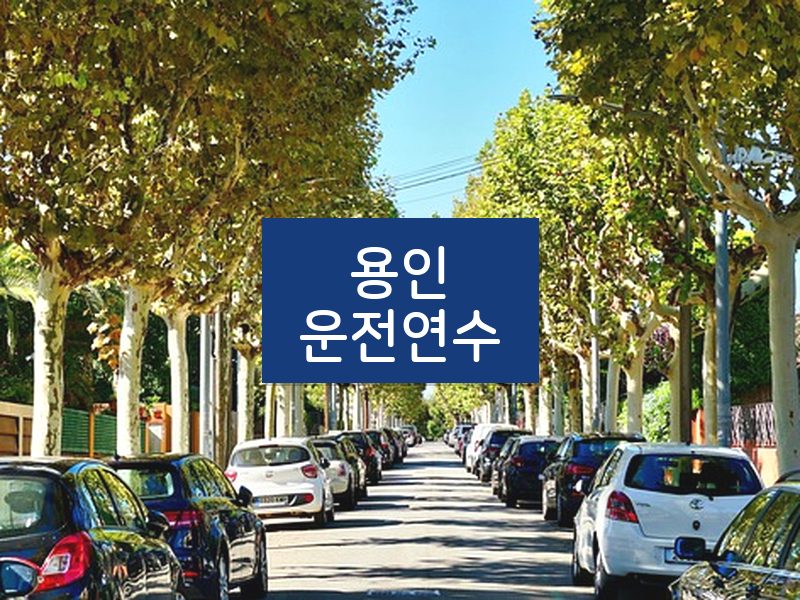 용인운전연수 후기