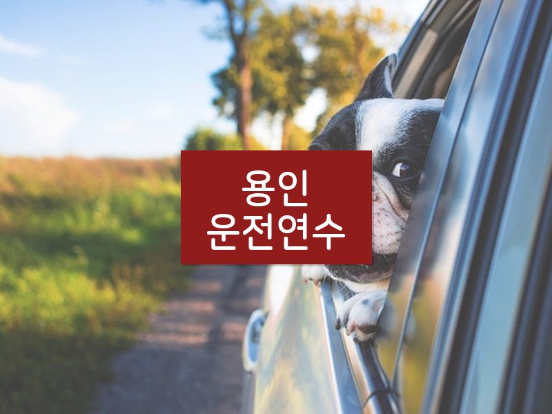 용인운전연수 후기