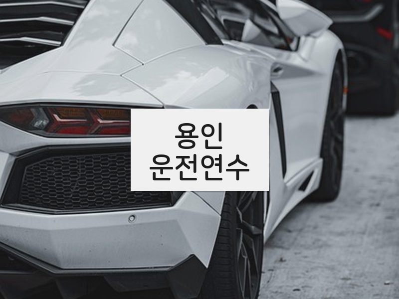 용인운전연수 후기