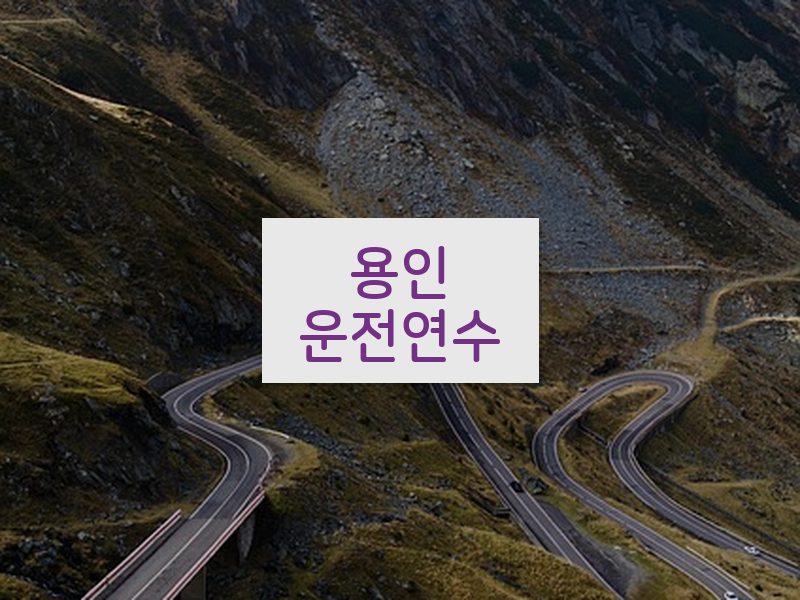용인운전연수 후기