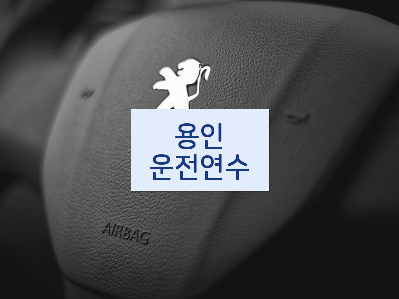용인운전연수 후기