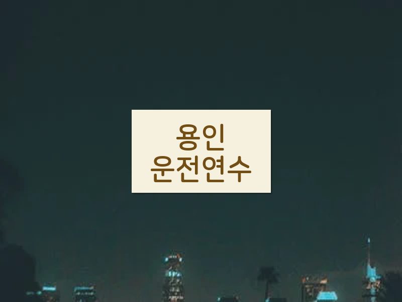 용인운전연수 후기