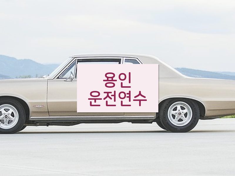 용인운전연수 후기