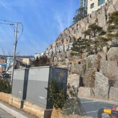 택시 이용보다 편한 운전