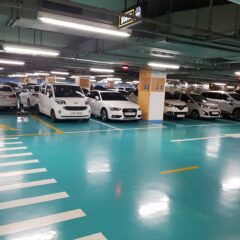 주말 산책에 드라이빙