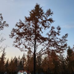 도로 합류 연습 후기