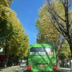 용인에서 첫 운전, 겁나게 무서웠어요