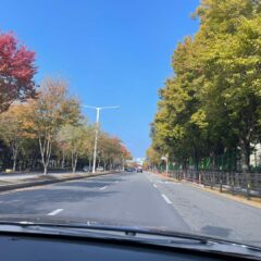 동네 길 연습 정말 도움돼요