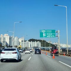 면허 따고 바로 연수 받았어요