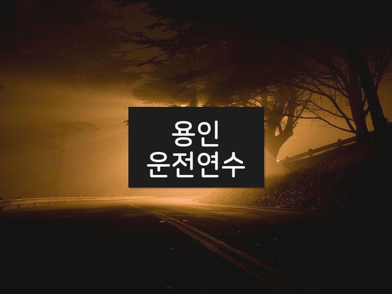 용인운전연수 후기