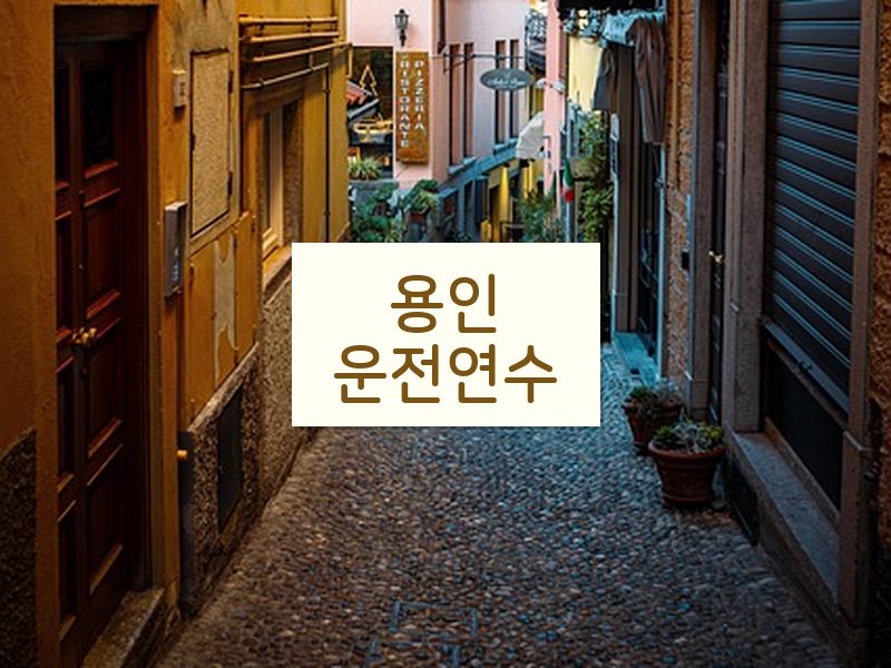 용인운전연수 후기