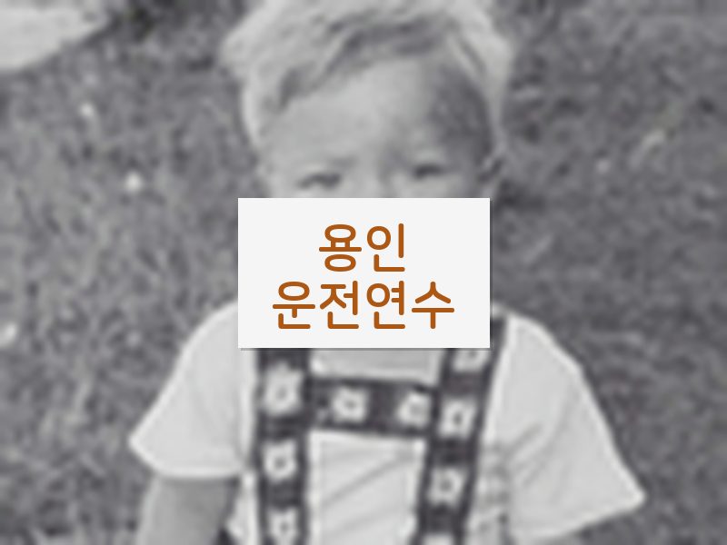 용인운전연수 후기