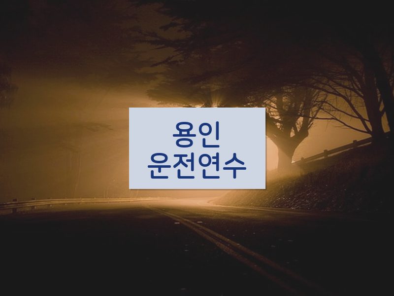 용인운전연수 후기