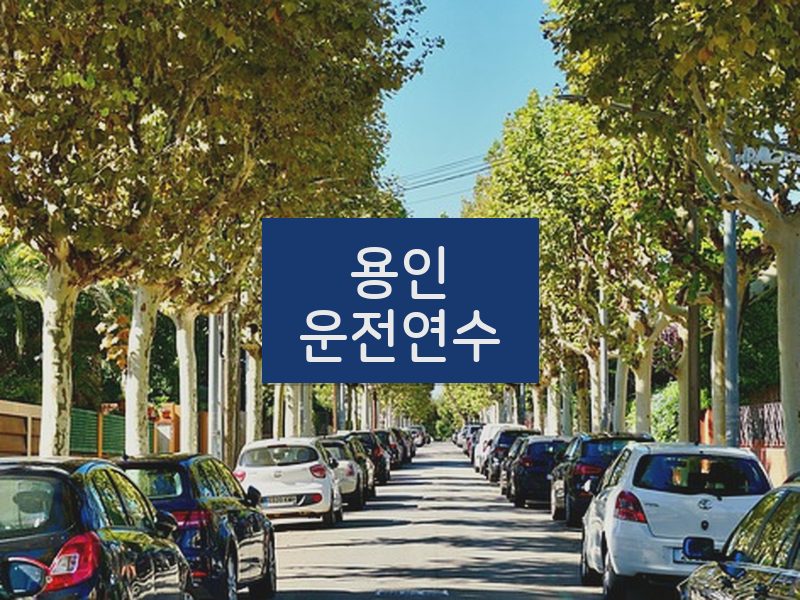 용인운전연수 후기
