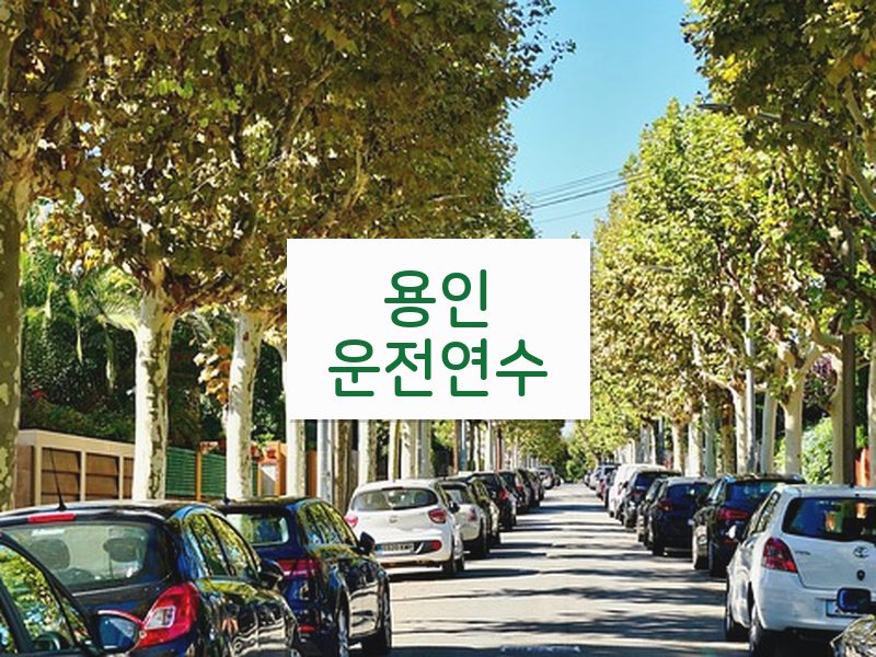 용인운전연수 후기